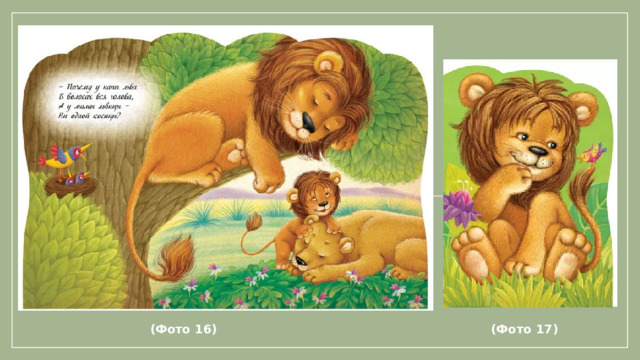 (Фото 16) (Фото 17)