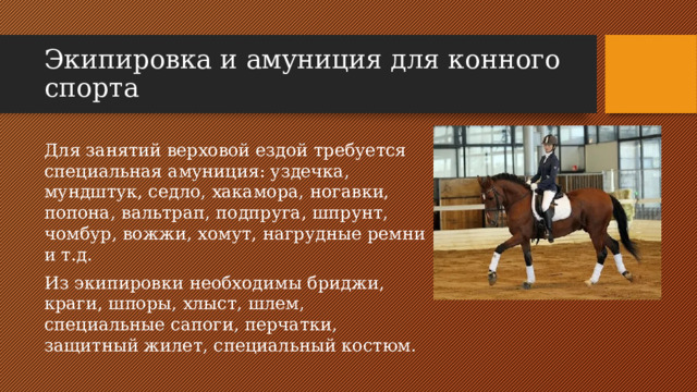 Экипировка и амуниция для конного спорта Для занятий верховой ездой требуется специальная амуниция: уздечка, мундштук, седло, хакамора, ногавки, попона, вальтрап, подпруга, шпрунт, чомбур, вожжи, хомут, нагрудные ремни и т.д. Из экипировки необходимы бриджи, краги, шпоры, хлыст, шлем, специальные сапоги, перчатки, защитный жилет, специальный костюм.