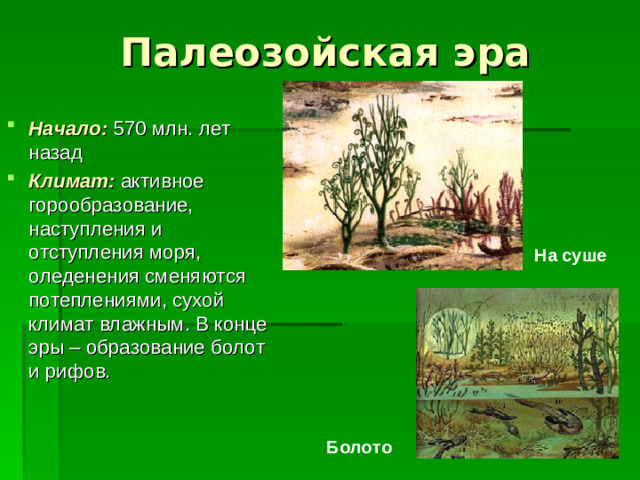 Палеозойская эра Начало: 570 млн. лет назад Климат: активное горообразование, наступления и отступления моря, оледенения сменяются потеплениями, сухой климат влажным. В конце эры – образование болот и рифов. На суше Болото