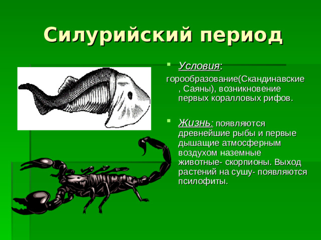 Силурийский период Условия : горообразование(Скандинавские, Саяны), возникновение первых коралловых рифов.