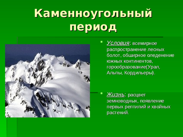 Каменноугольный период