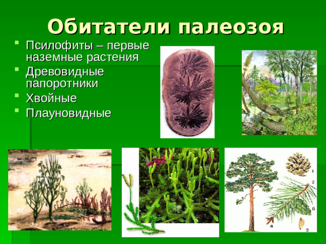 Обитатели палеозоя