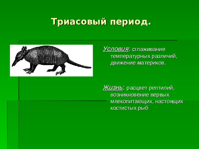 Триасовый период. Условия : сглаживание температурных различий, движение материков. Жизнь : расцвет рептилий, возникновение первых млекопитающих, настоящих костистых рыб
