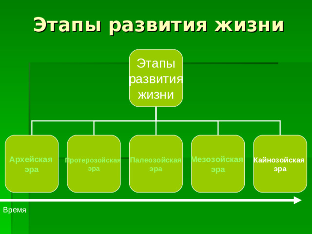 Этапы развития жизни Этапы  развития жизни Архейская эра Мезозойская эра Кайнозойская эра Палеозойская эра Протерозойская эра Время
