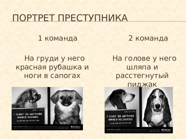 Портрет преступника  1 команда    2 команда  На груди у него красная рубашка и ноги в сапогах  На голове у него шляпа и расстегнутый пиджак